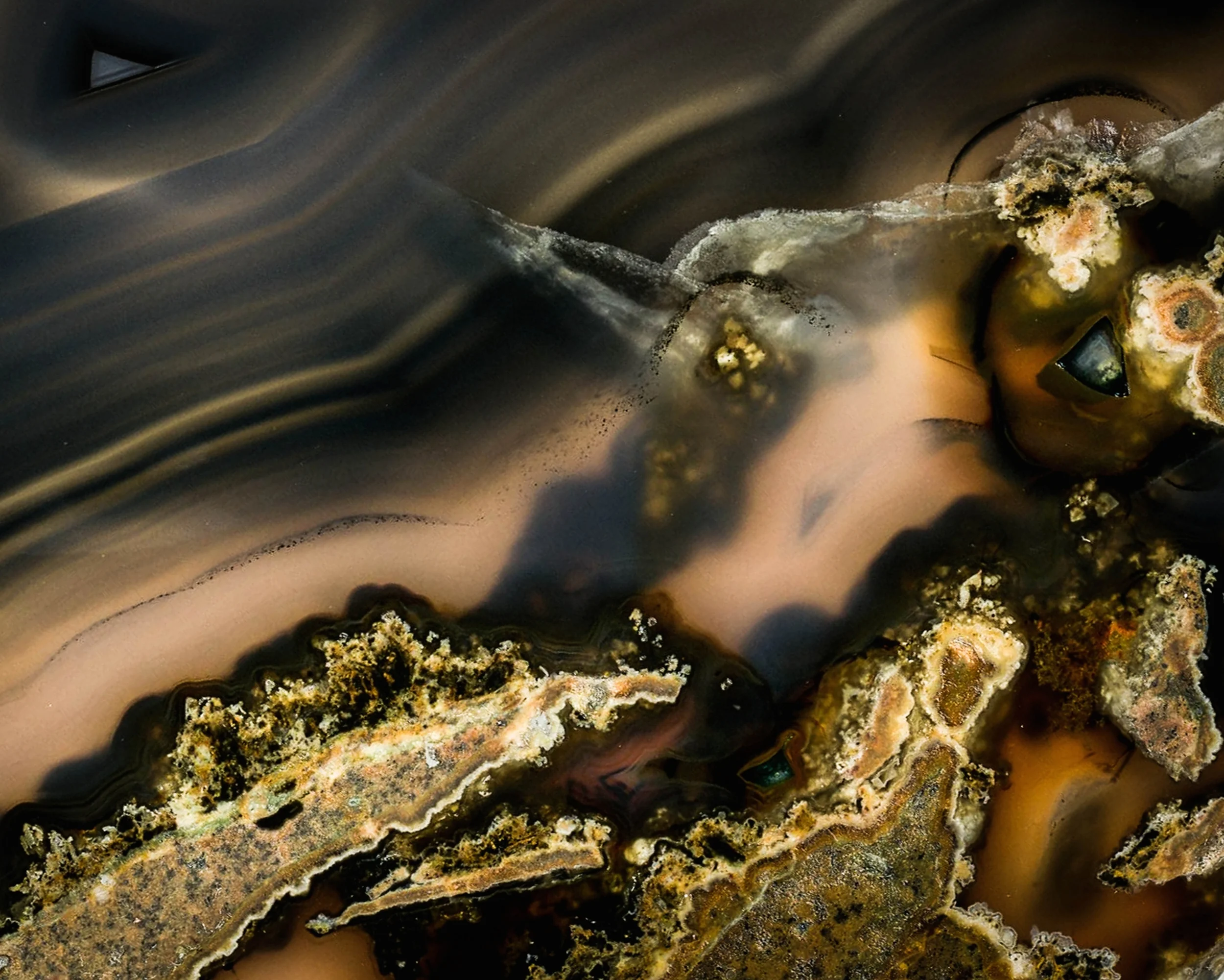 Flight of the Phoenix