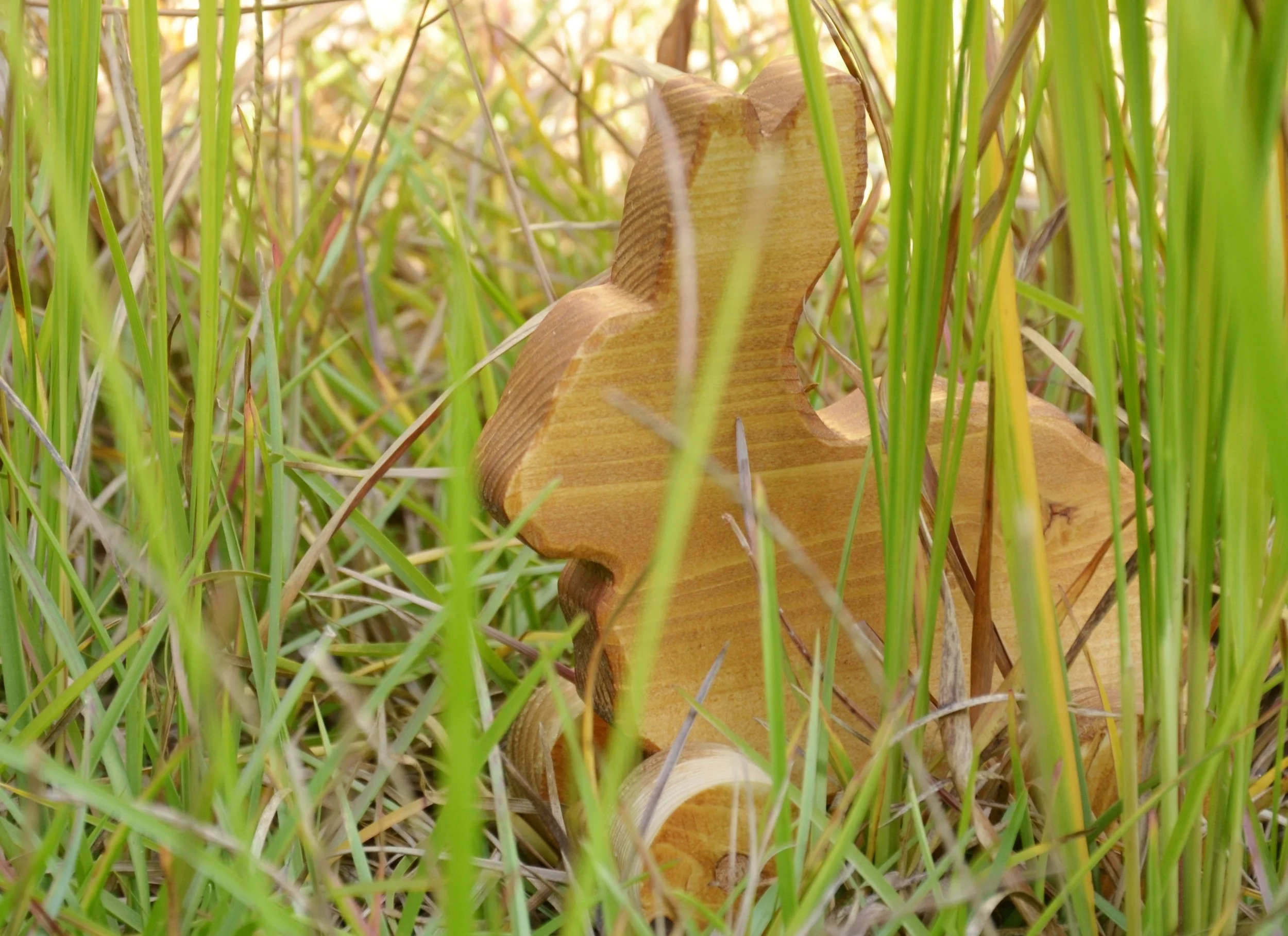 DSC_6394.JPG