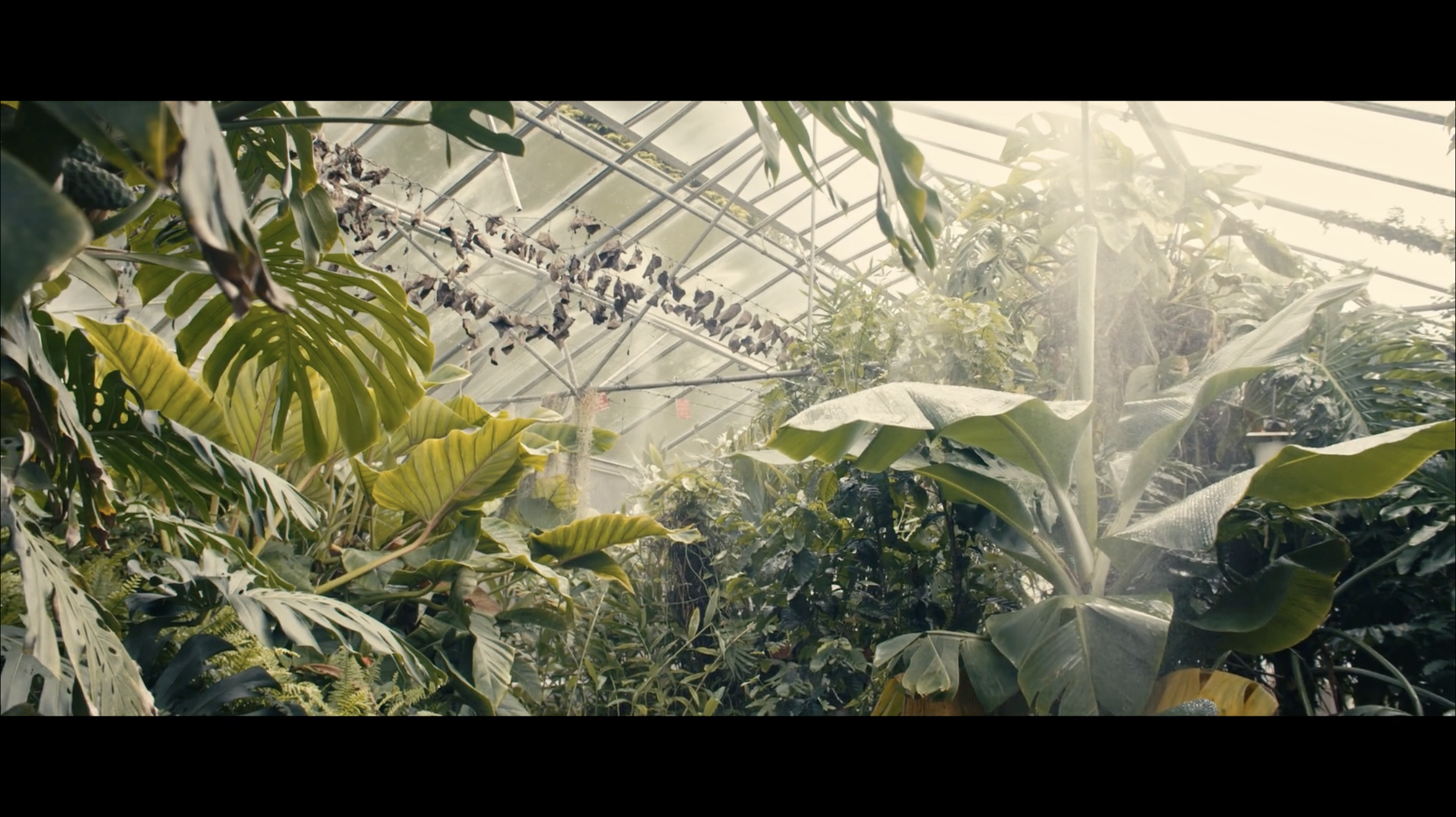 Screen Shot 2018-12-23 at 16.23.12.png