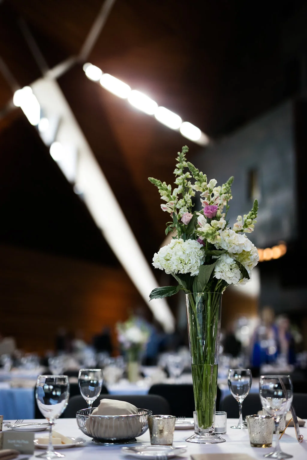 clewellphotography-5817.jpg
