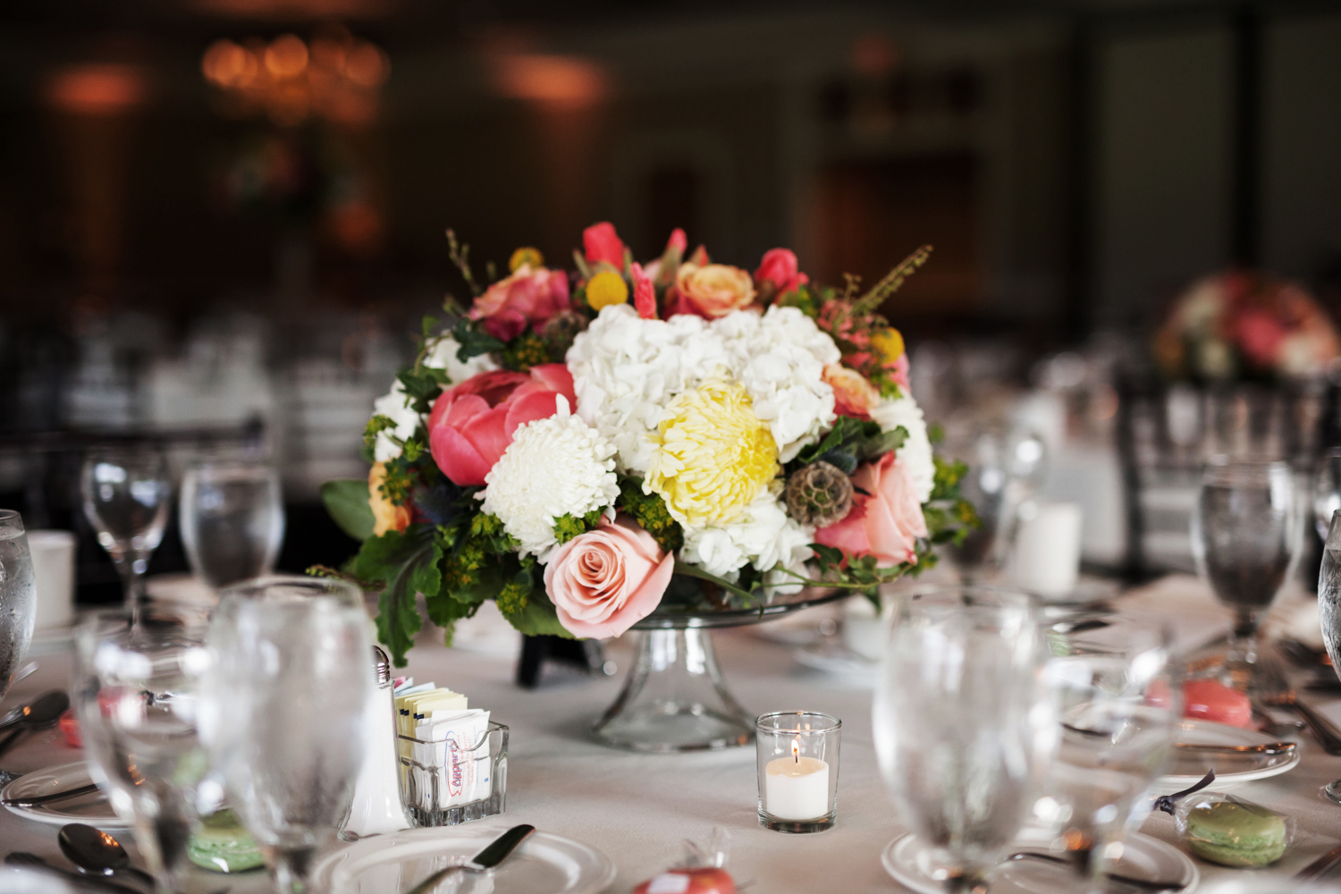clewellphotography-1649.jpg