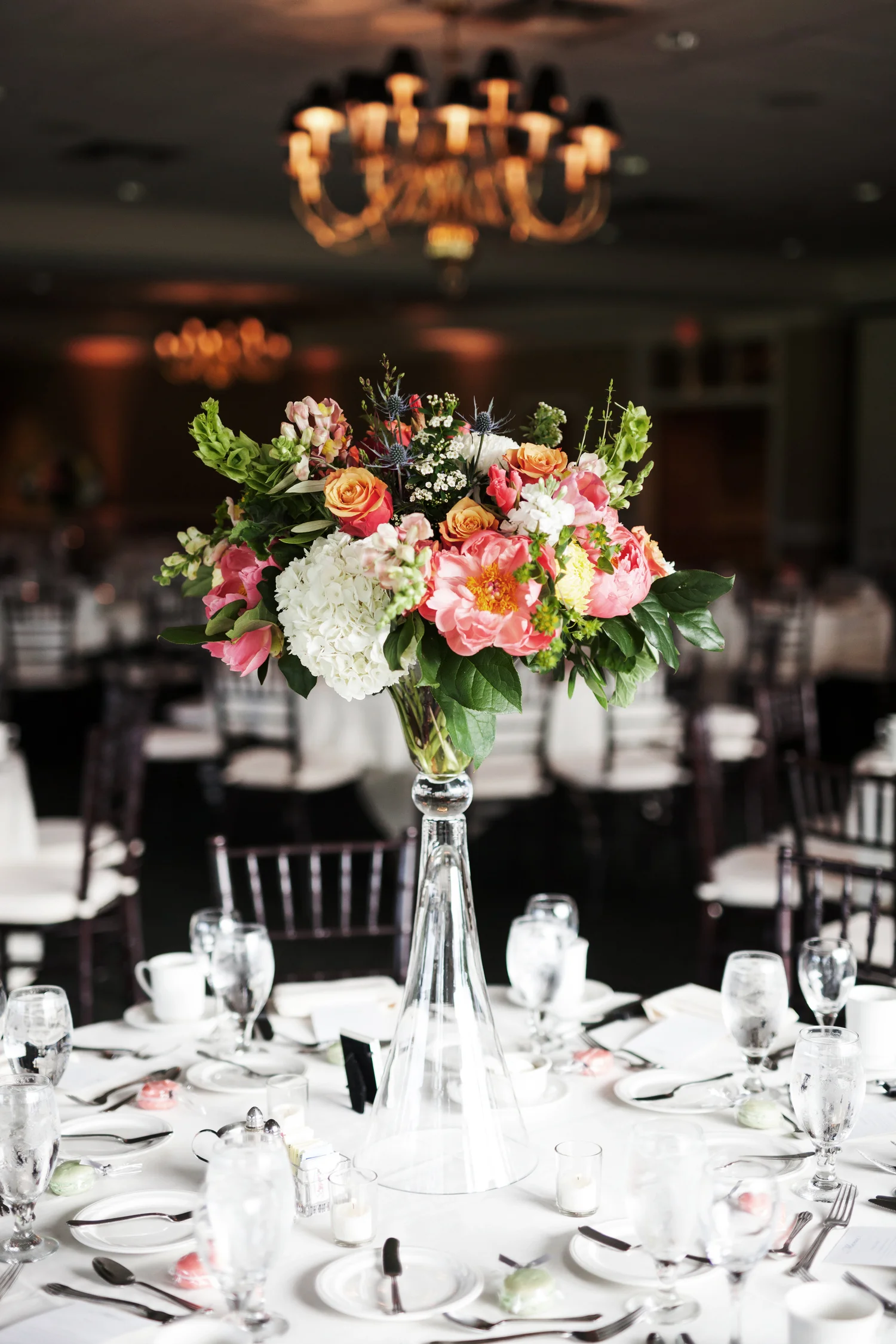 clewellphotography-1650.jpg