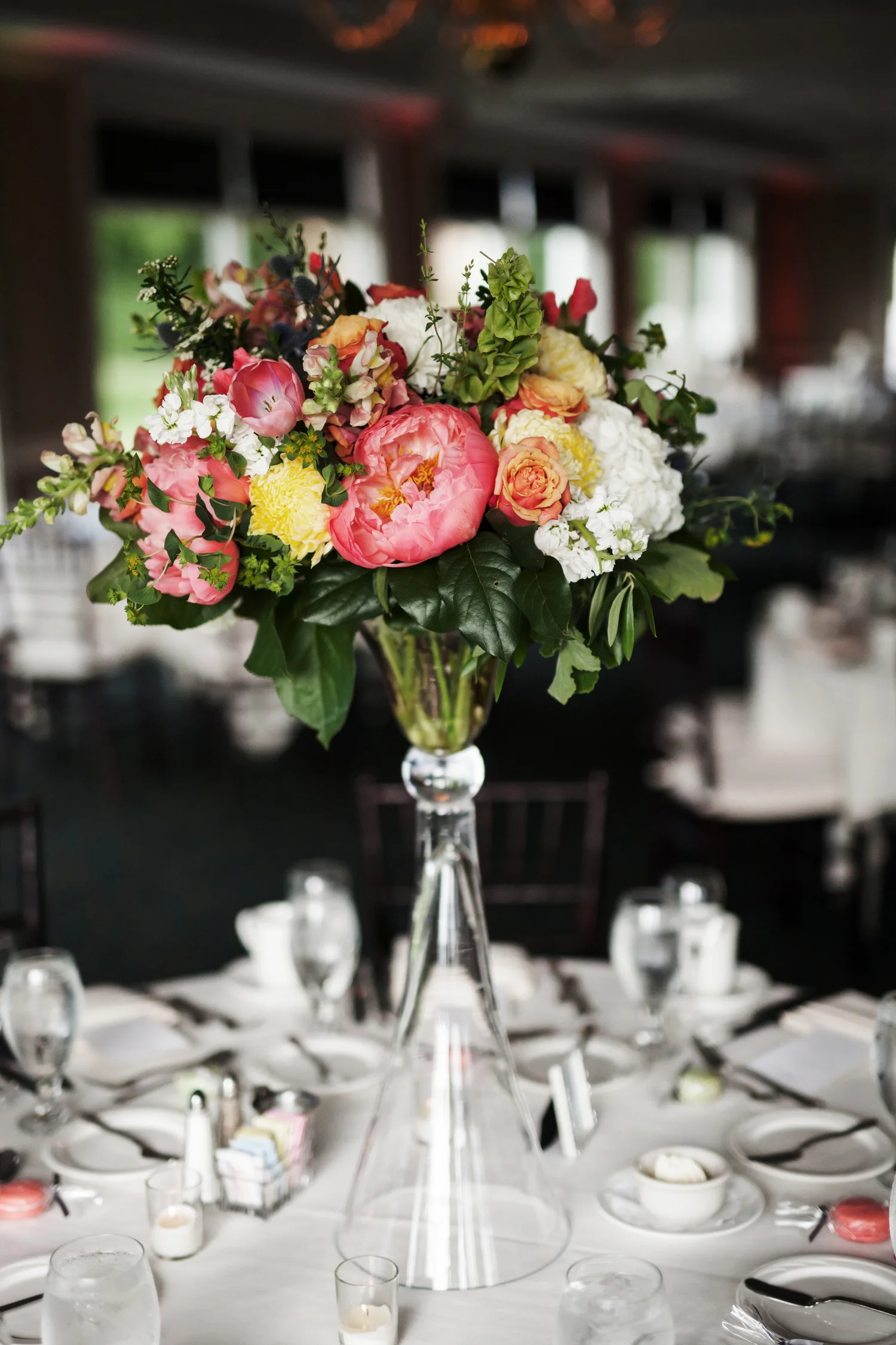 clewellphotography-1721.jpg