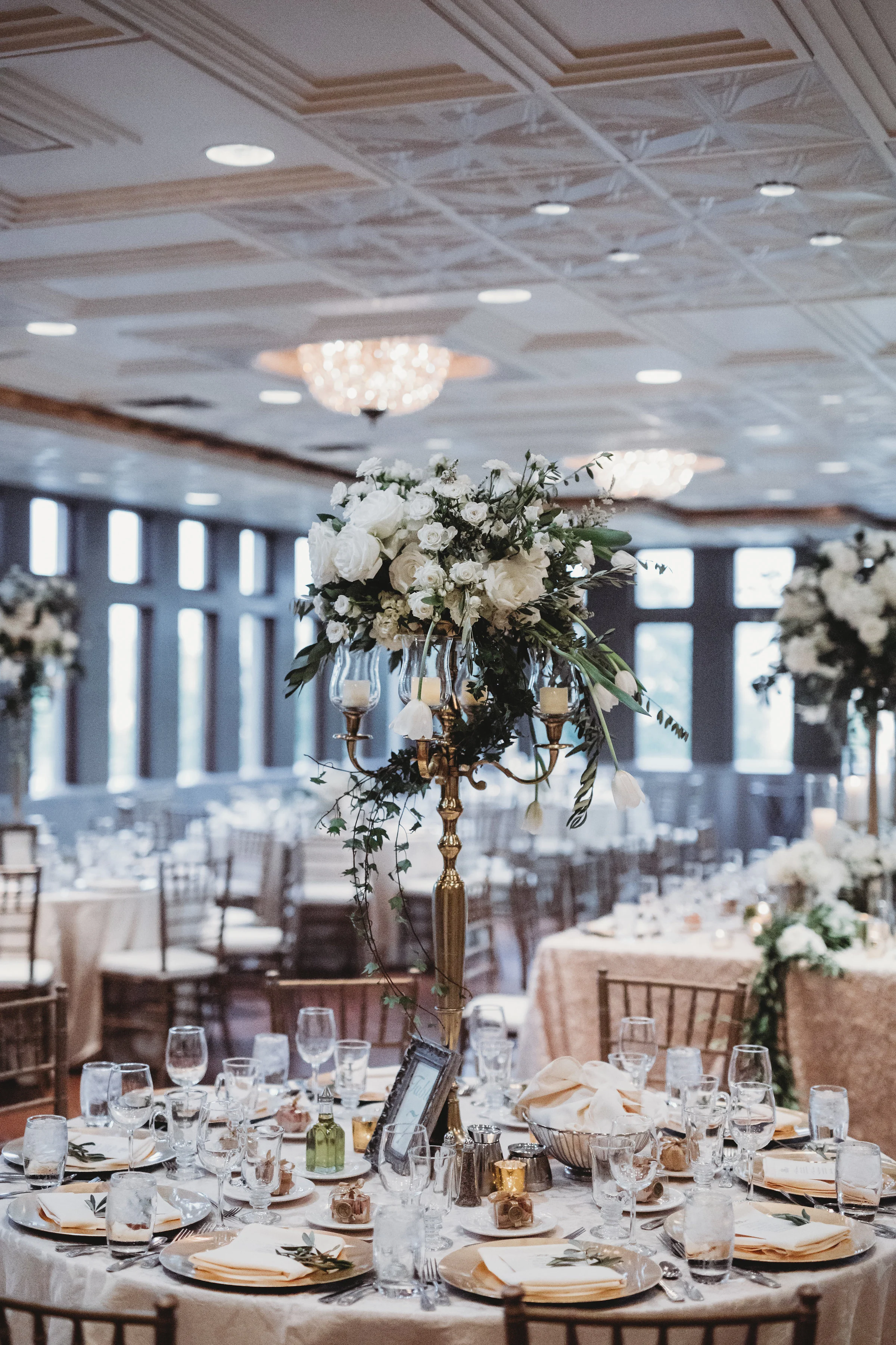 clewellphotography-16062.jpg