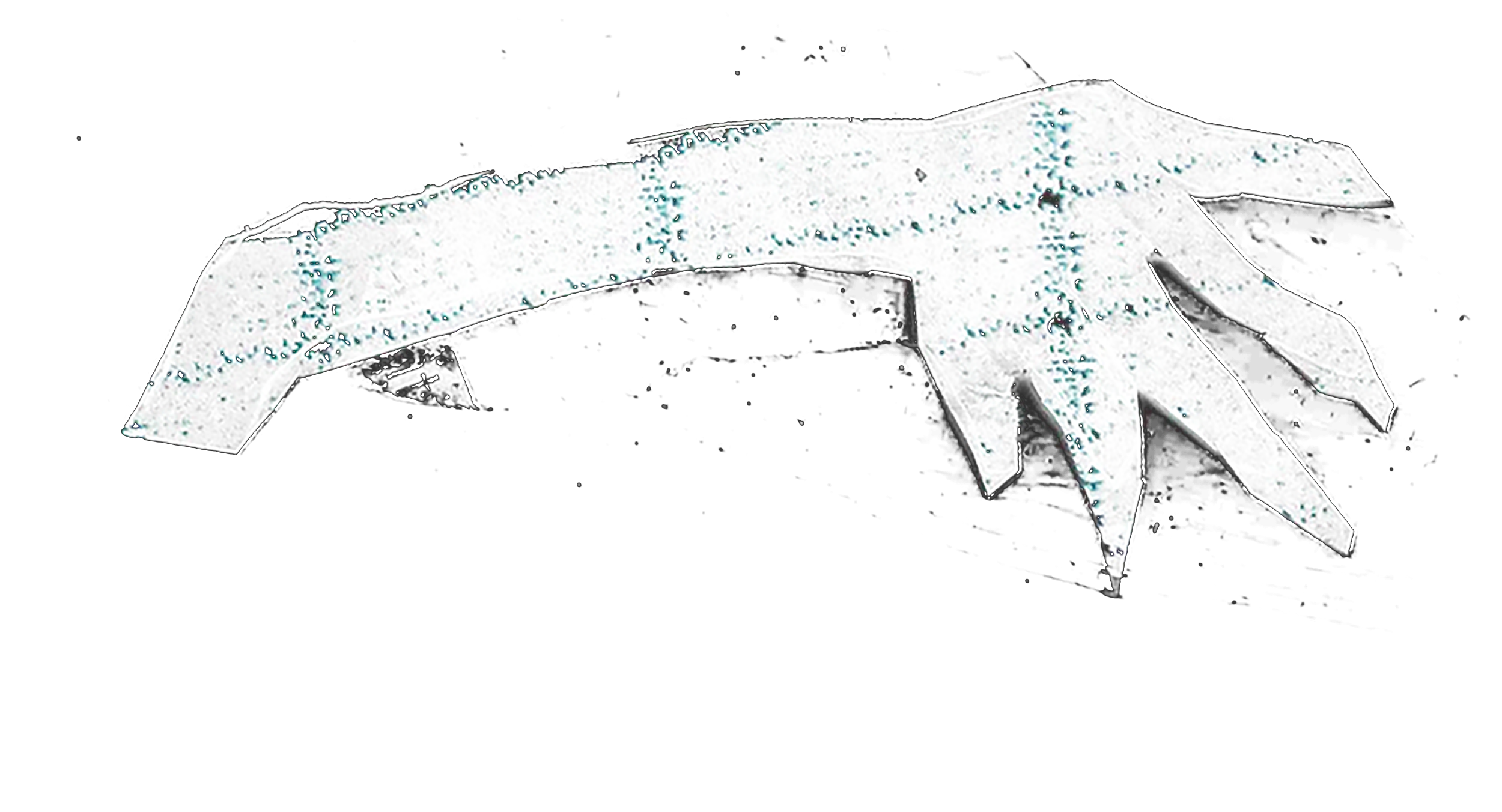 the arms.