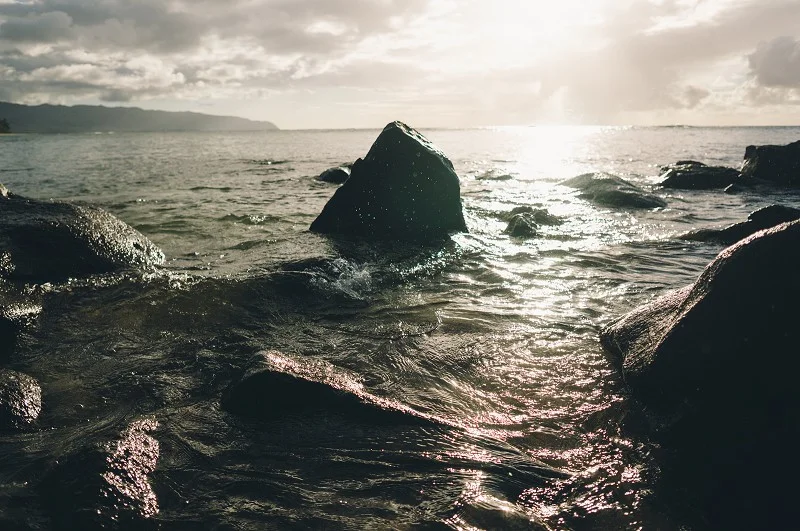 Mendozaloha2014_029.jpg
