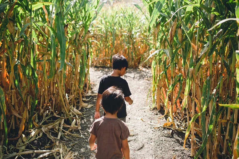 CalPolyPumpkinPatch_007.jpg