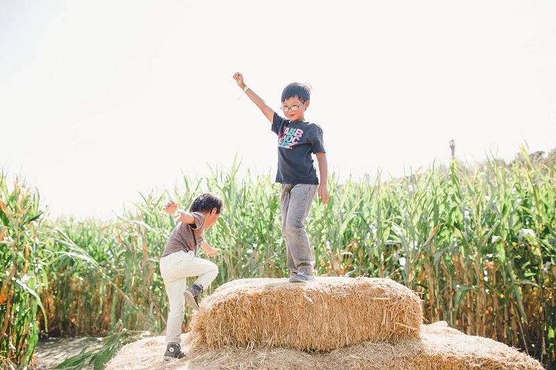 CalPolyPumpkinPatch_012.jpg