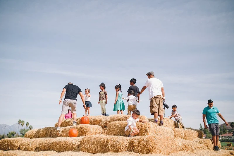 CalPolyPumpkinPatch_019.jpg
