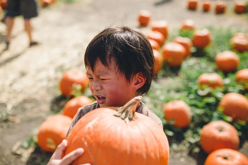 CalPolyPumpkinPatch_024.jpg