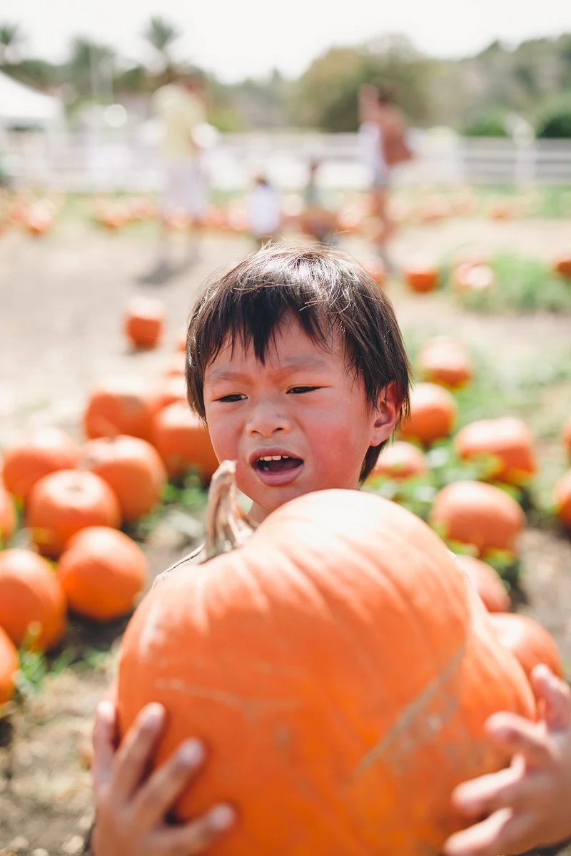 CalPolyPumpkinPatch_025.jpg