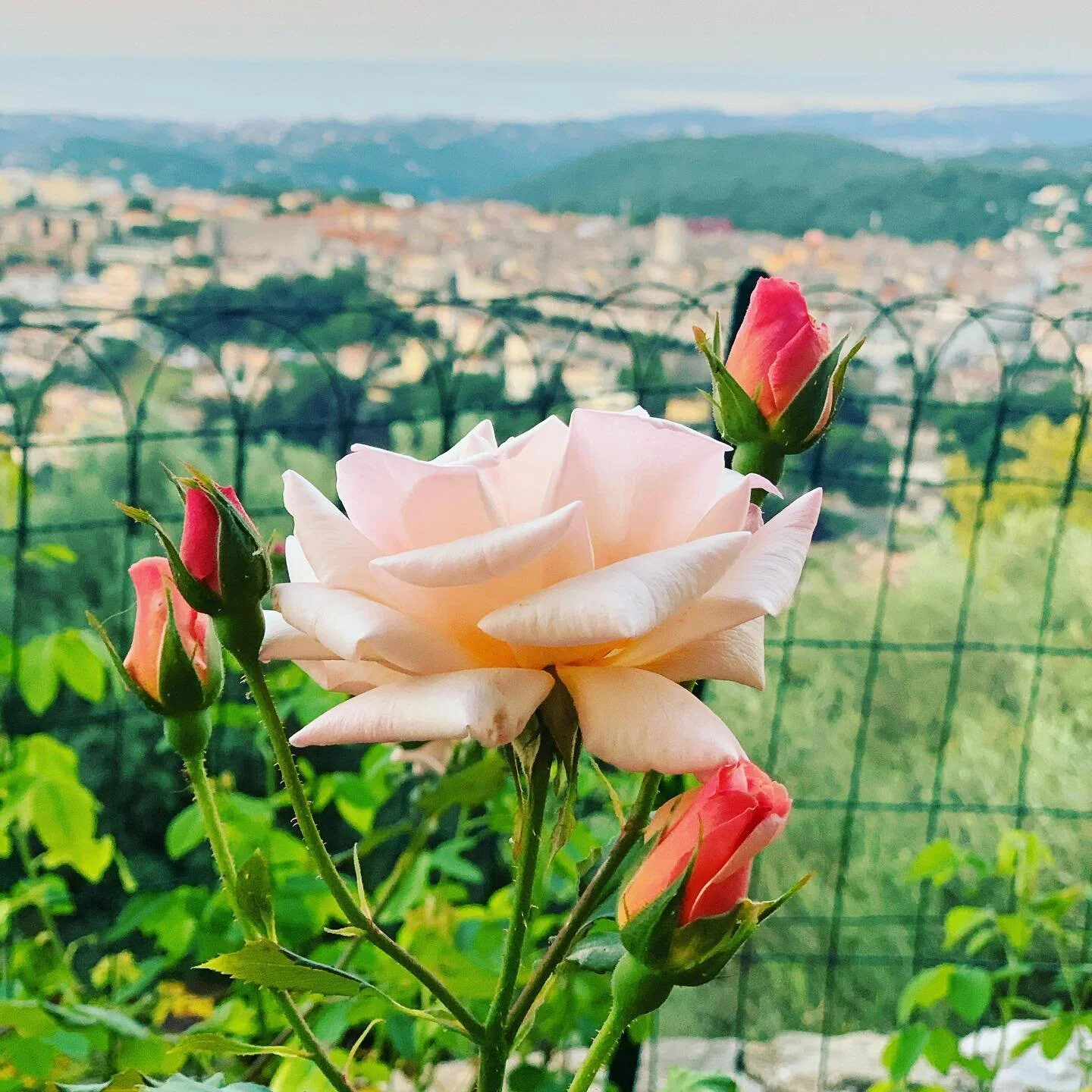 Vence-Je t&rsquo;aime #vence #peinture #abstractart #riviera