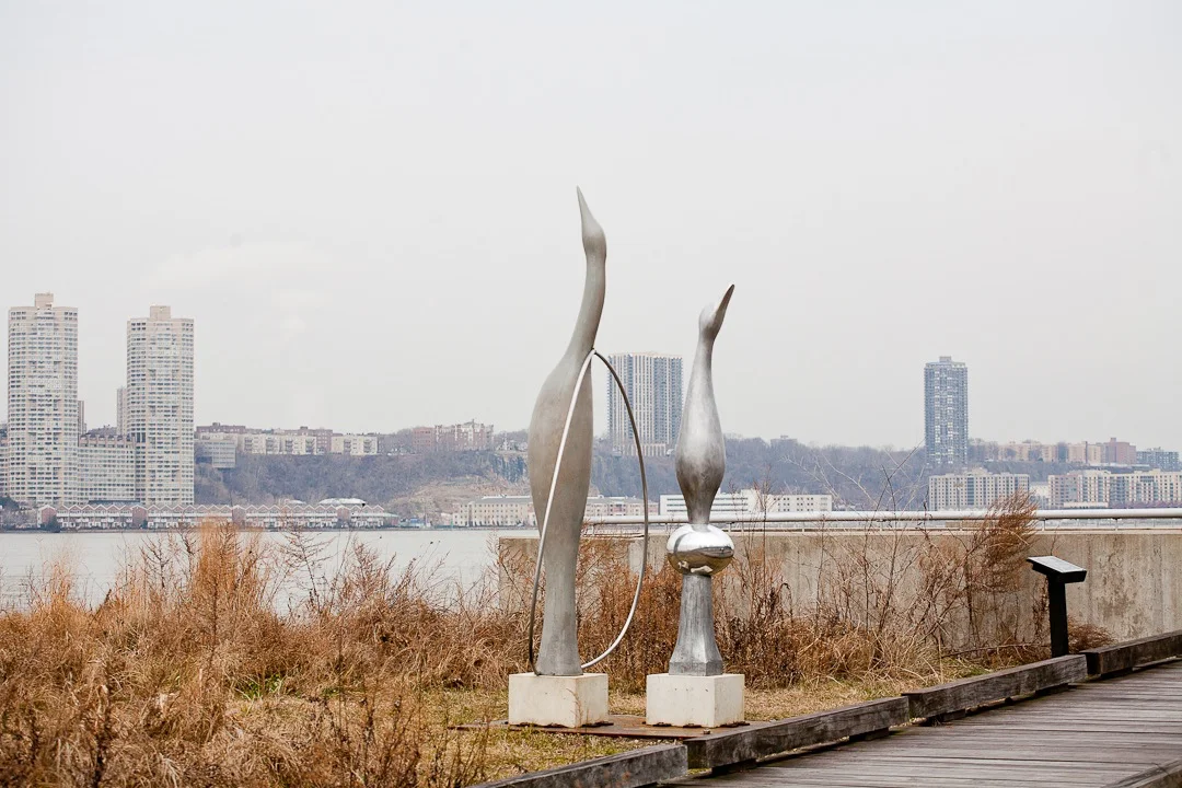 Image 5_higherres.jpg