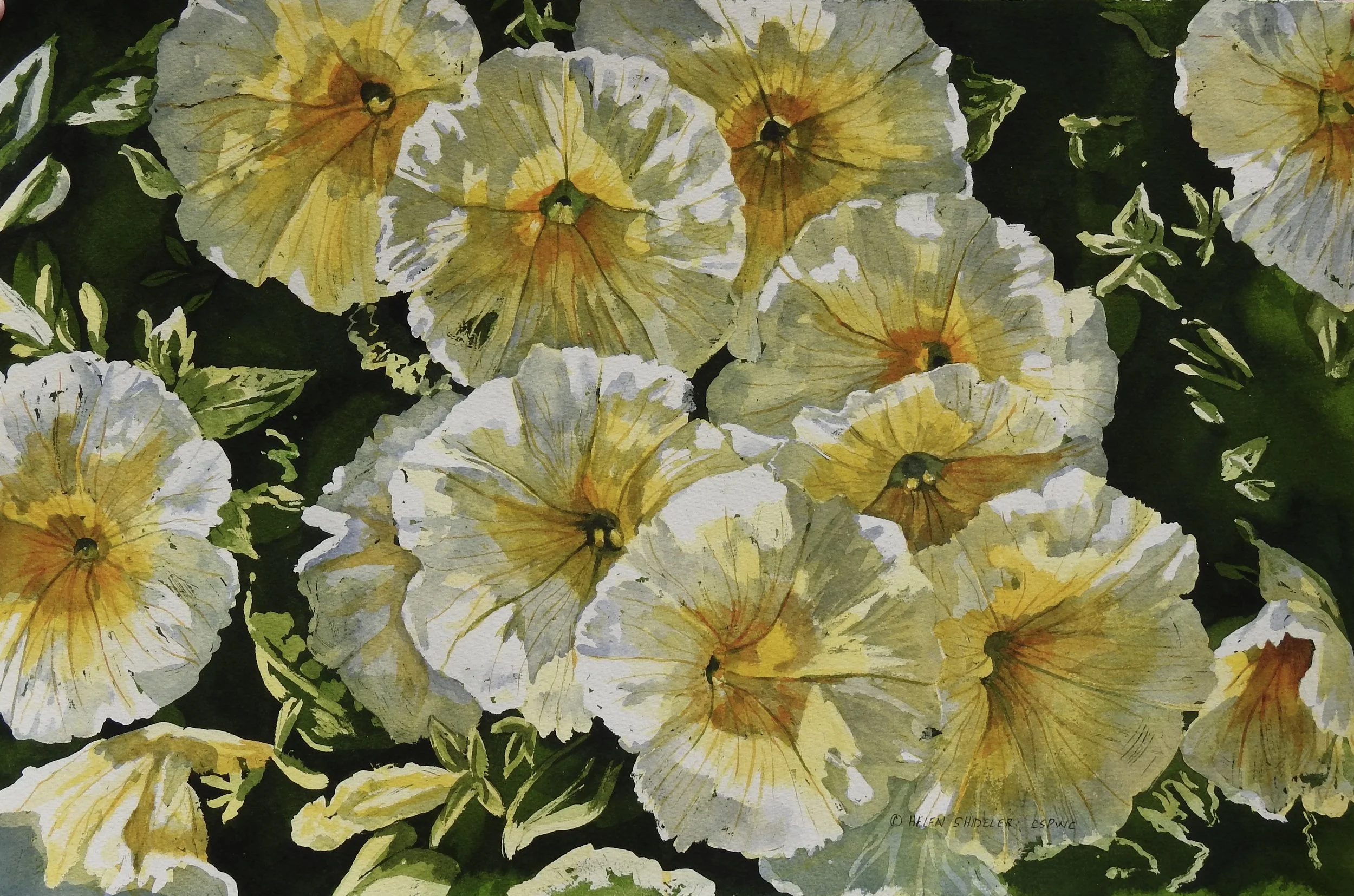 Sunshine and Shadows by Helen Shideler.jpeg