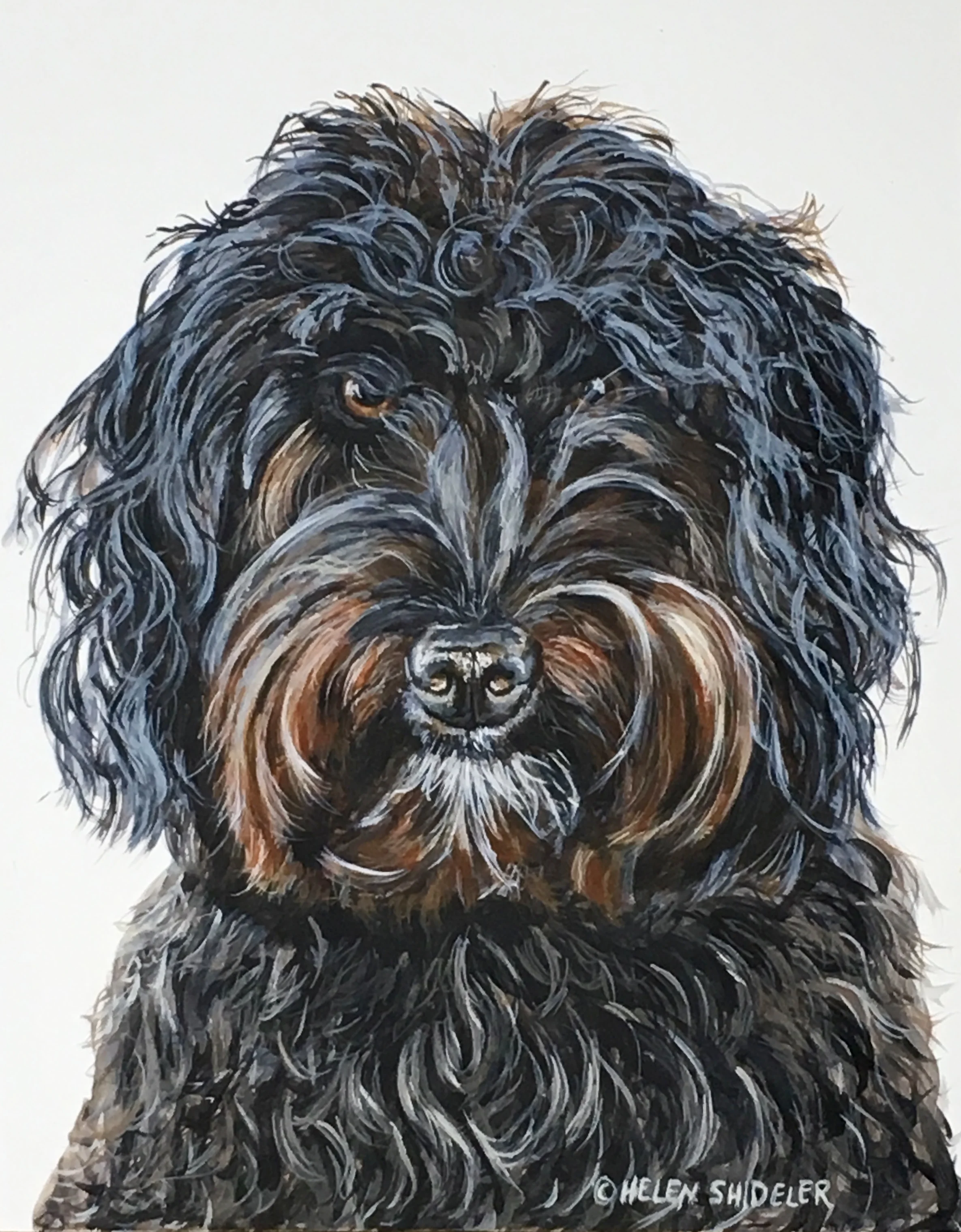 Murphy