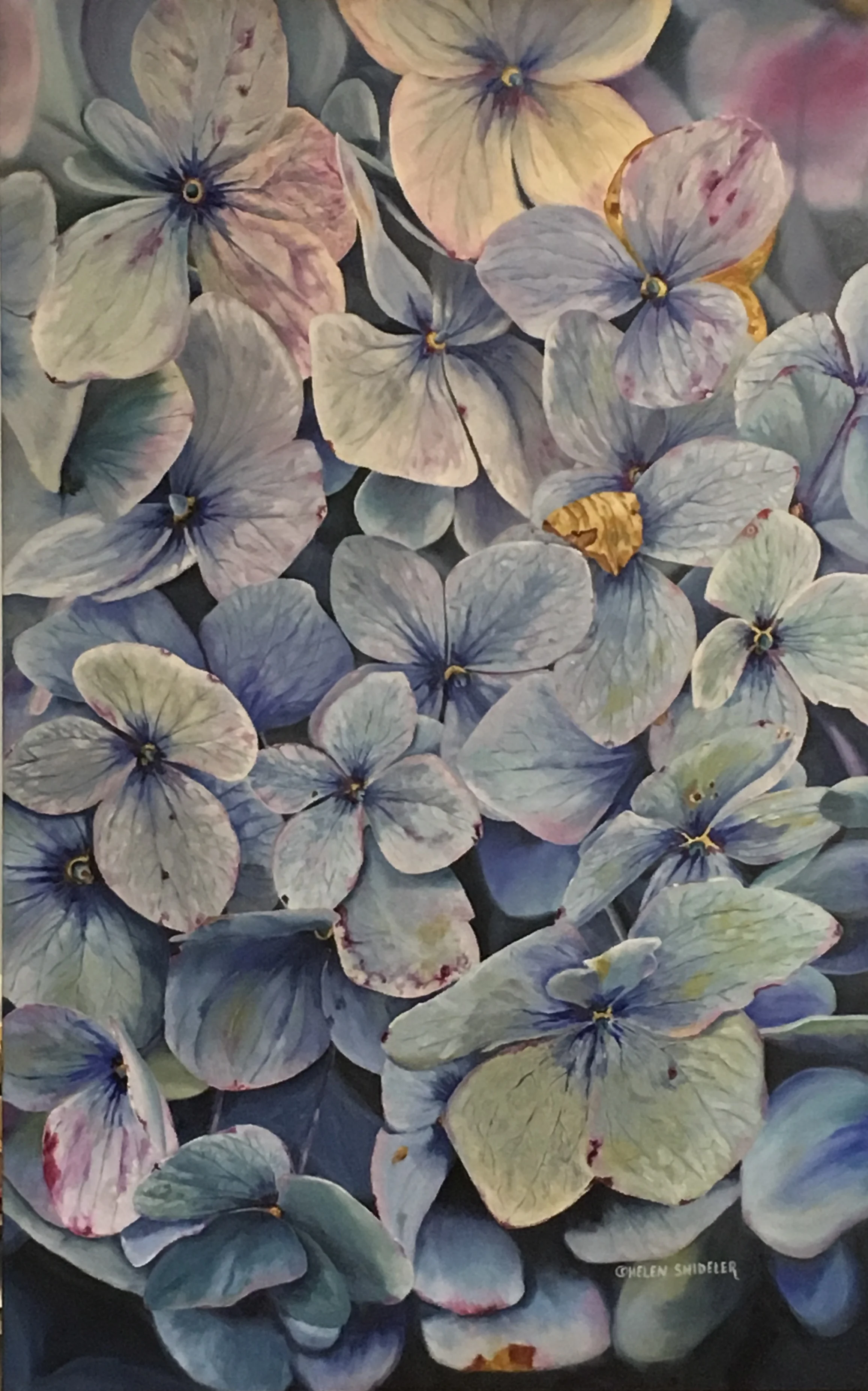 Mystic Blues by Shideler