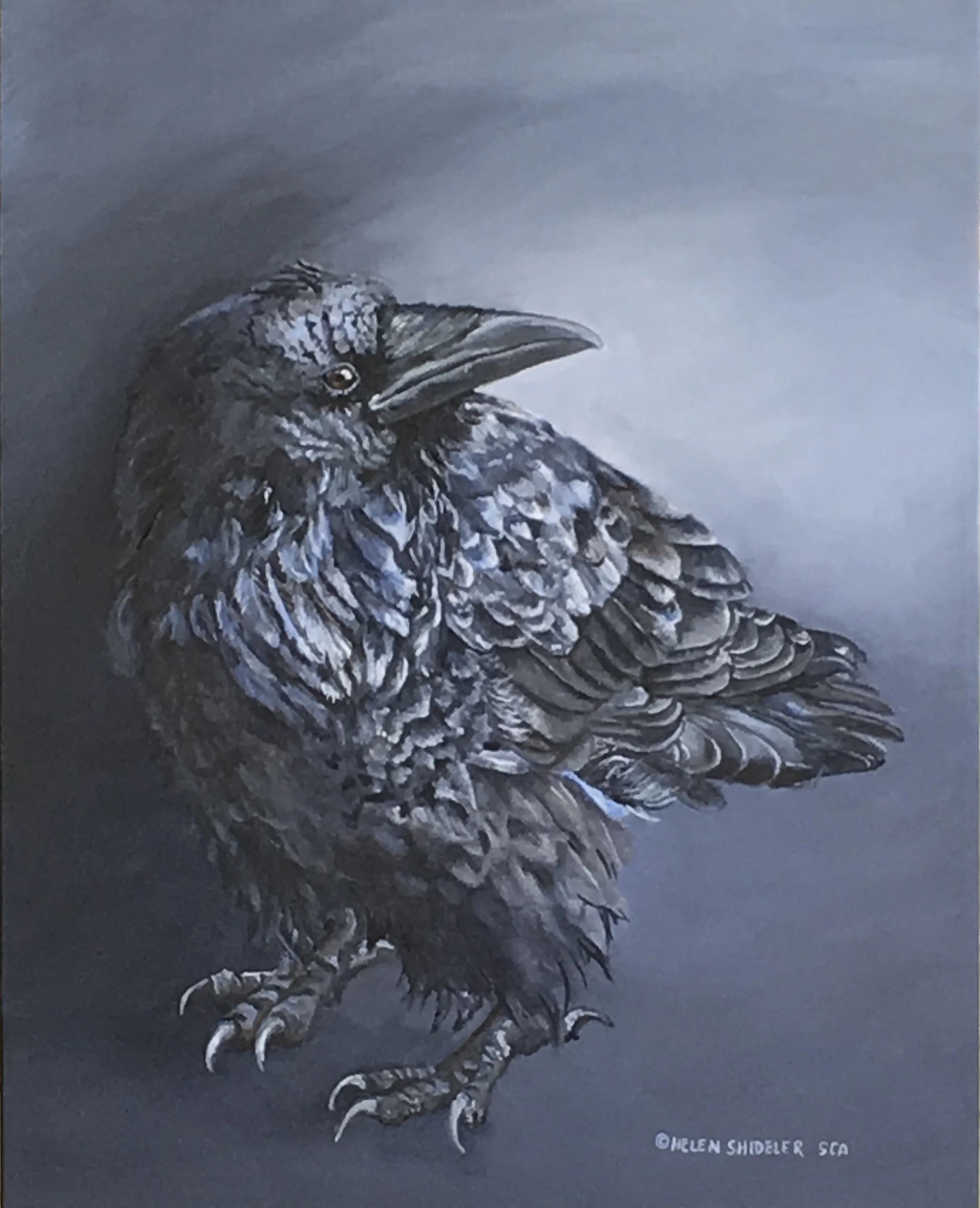 Midnight Shadow by Helen Shideler