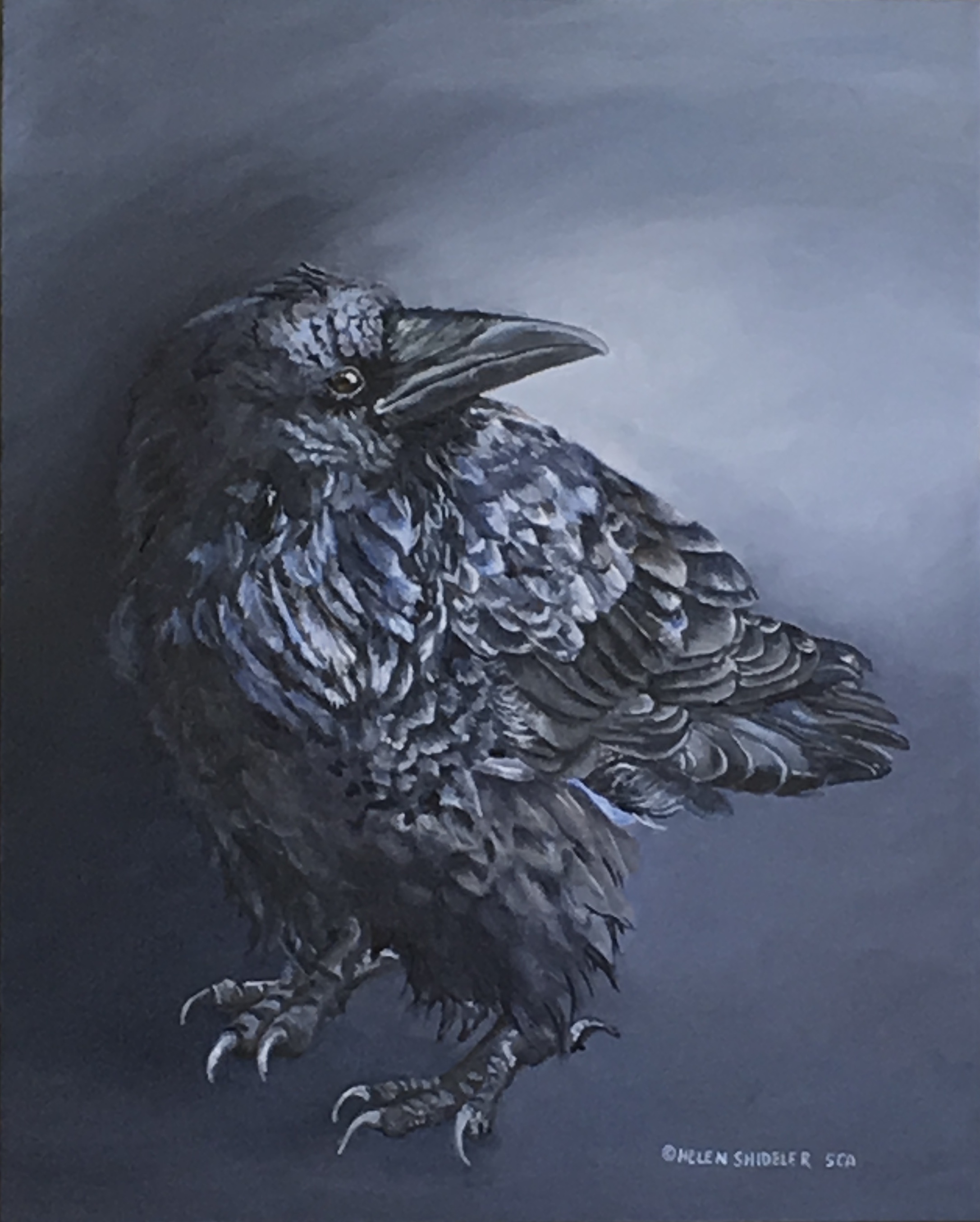 Midnight Shadow by Helen Shideler.jpeg