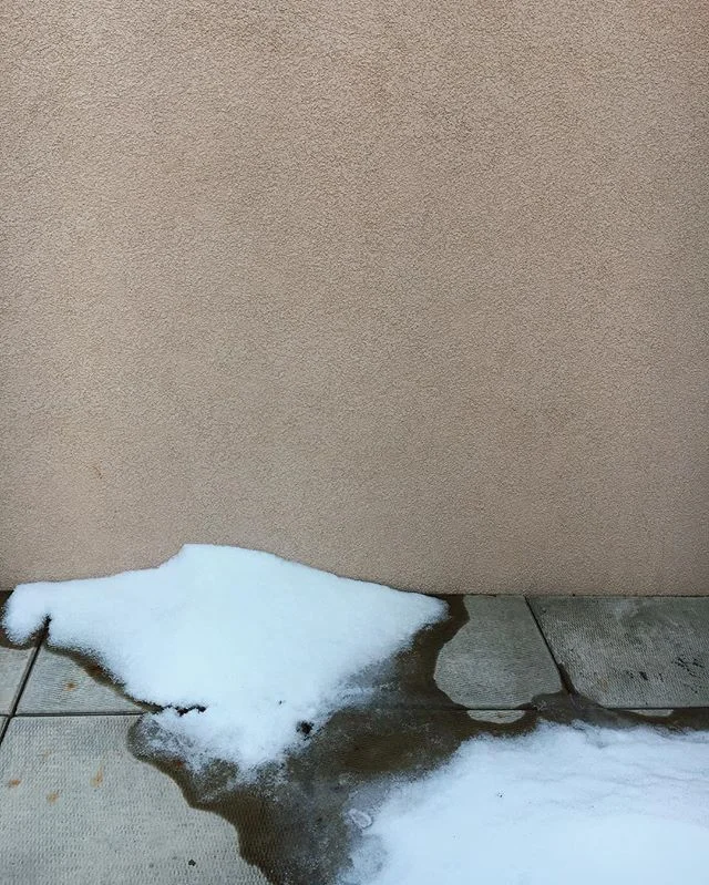 2/13/17: the weather in New York is confused