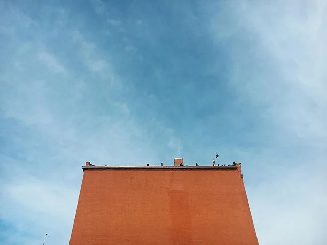 🔷🦅