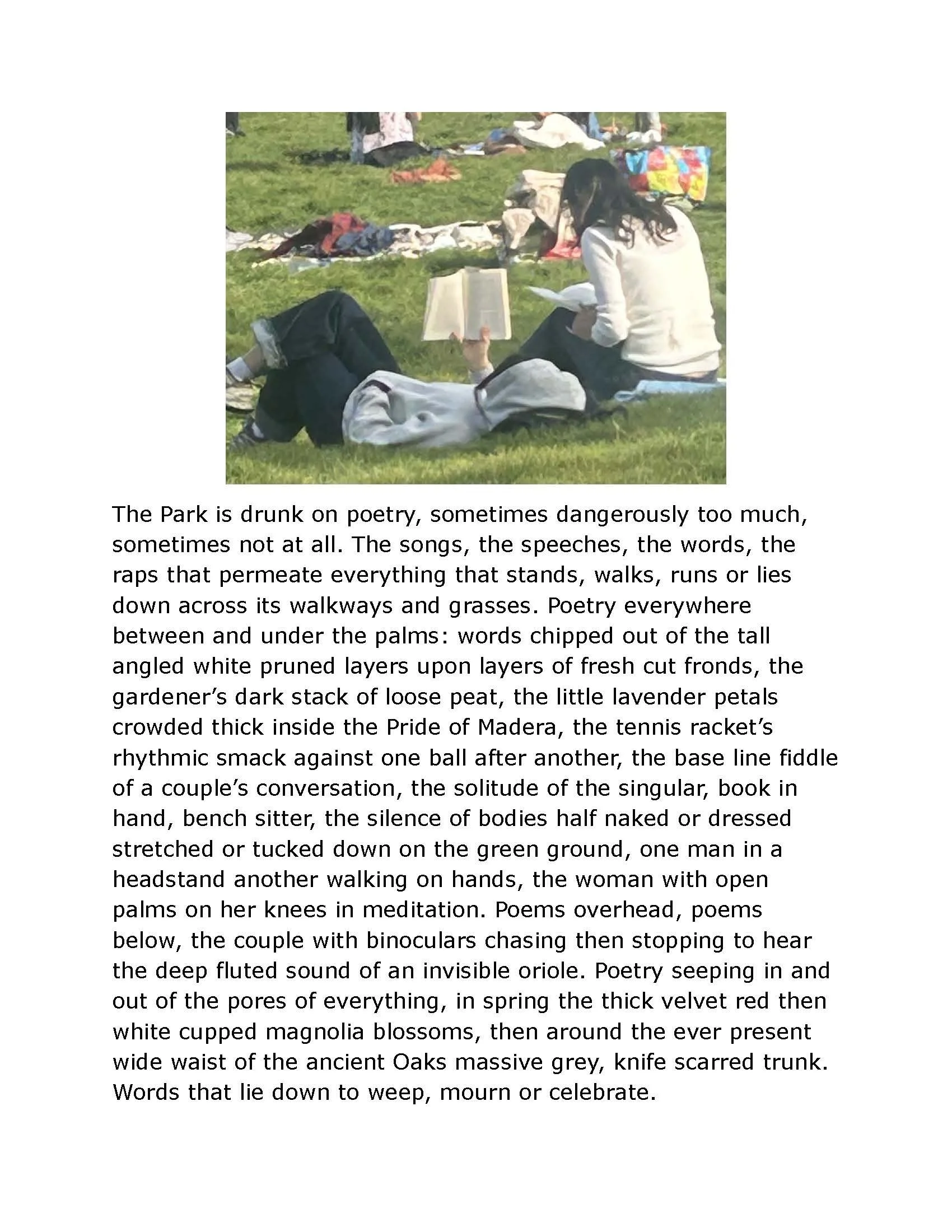 Pages from 071026 The Park-3.jpg
