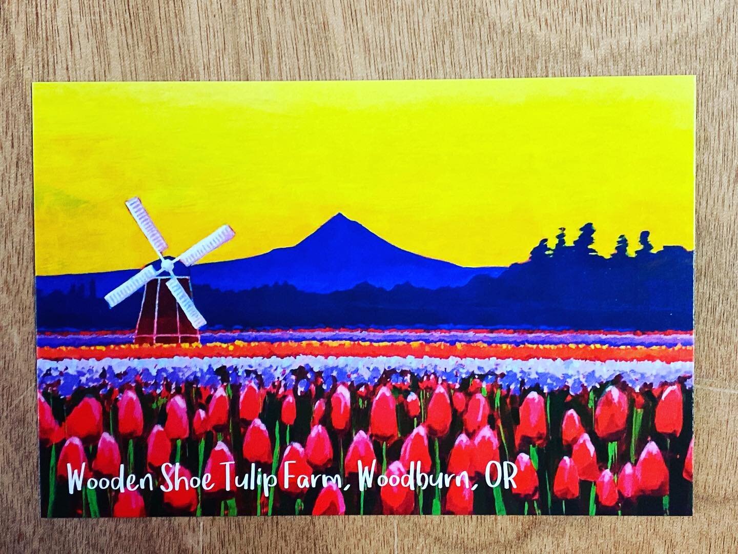 This just arrived! The Wooden Shoe Tulip Farm Festivities are getting closer and closer. Always a favorite place to enjoy the beauty of nature. ❤️🌷#thewoodenshoetulipfarm #iambibby #tulips #pnw #artistofinstagram