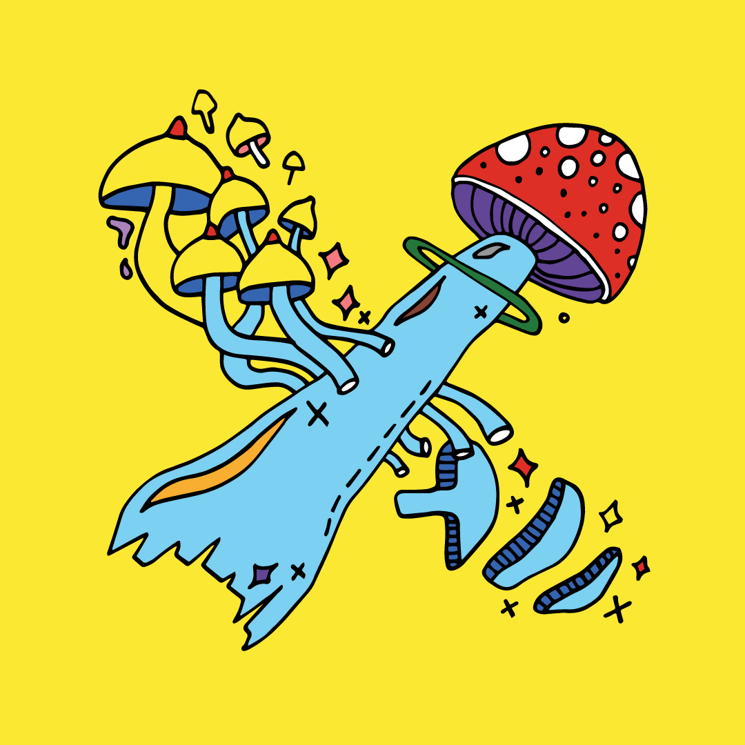 X is for xampinyons (mushrooms in Catalan).