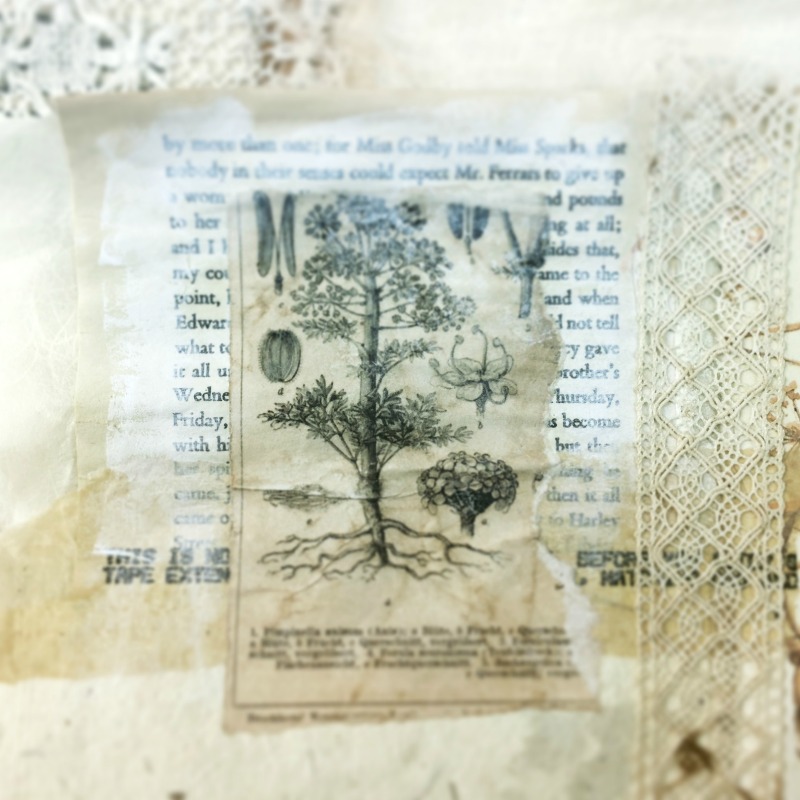 "Honoring roots and seeds" - Little Book of Whispers, page in progress