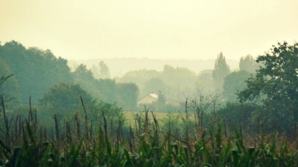 paysage.jpeg