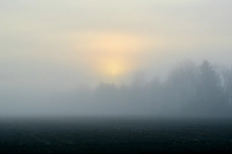 sun W.jpg