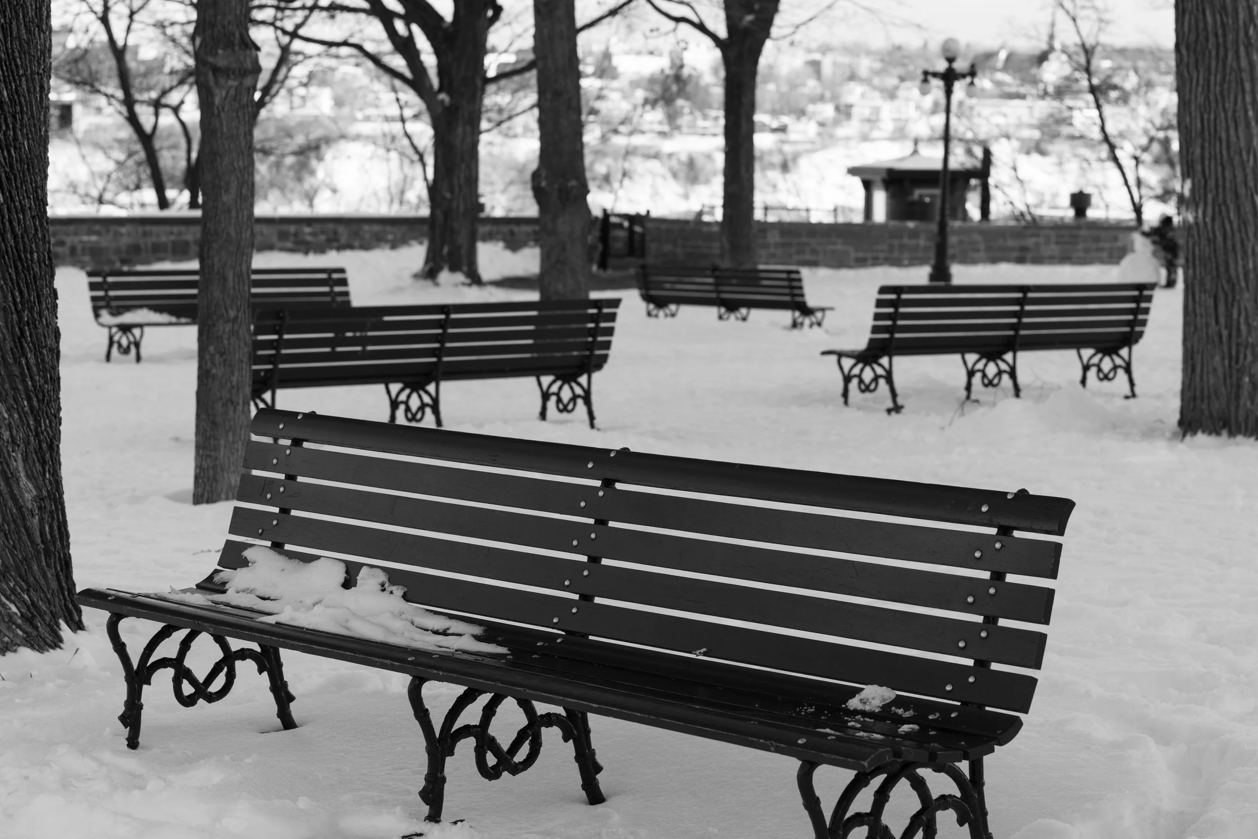 Empty park benches in winter — leadership team coaching and organizational clarity