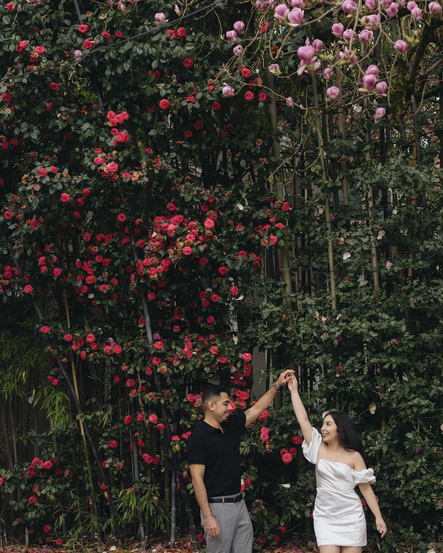 Isabell &amp; Ramon &mdash; A wonderful engagement session enjoy Portland on a spring day! Though the photos are not in order of our actual time hanging out.. we met up in the chaos of the Spring Blossoms! 🌸These two were troopers for braving the cr