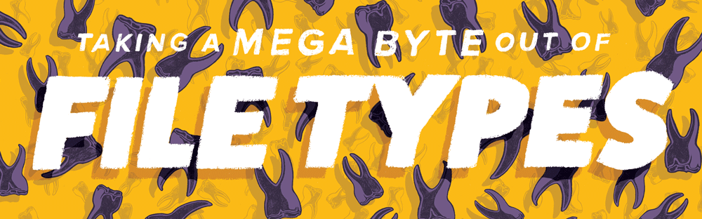 June2017_MadMallard_MonthlyMemo_FileTypes.png