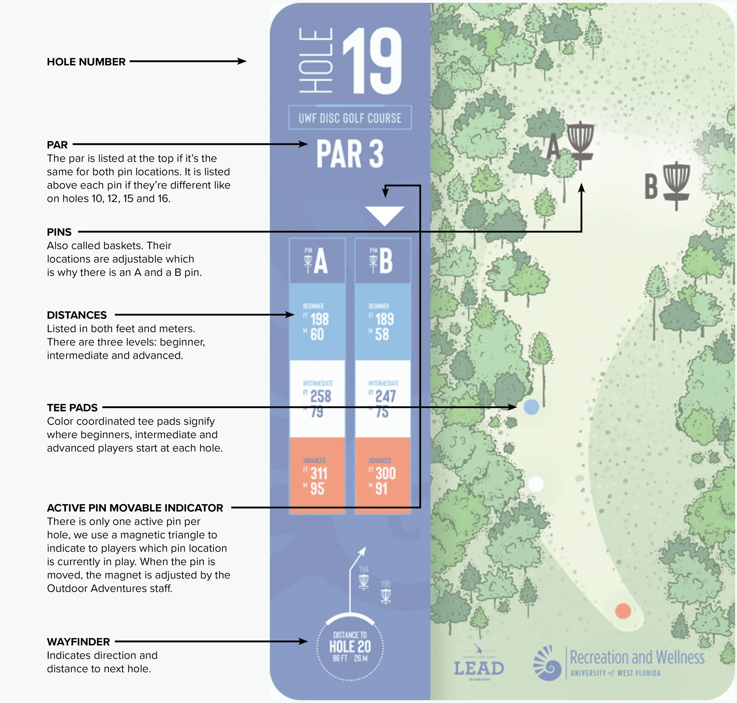 Disc Golf Course Tee Signs | Signage — Shelley Henseler