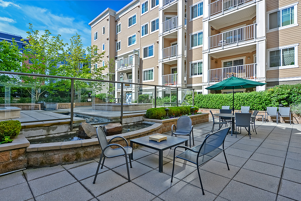 roof top patio 3.jpg