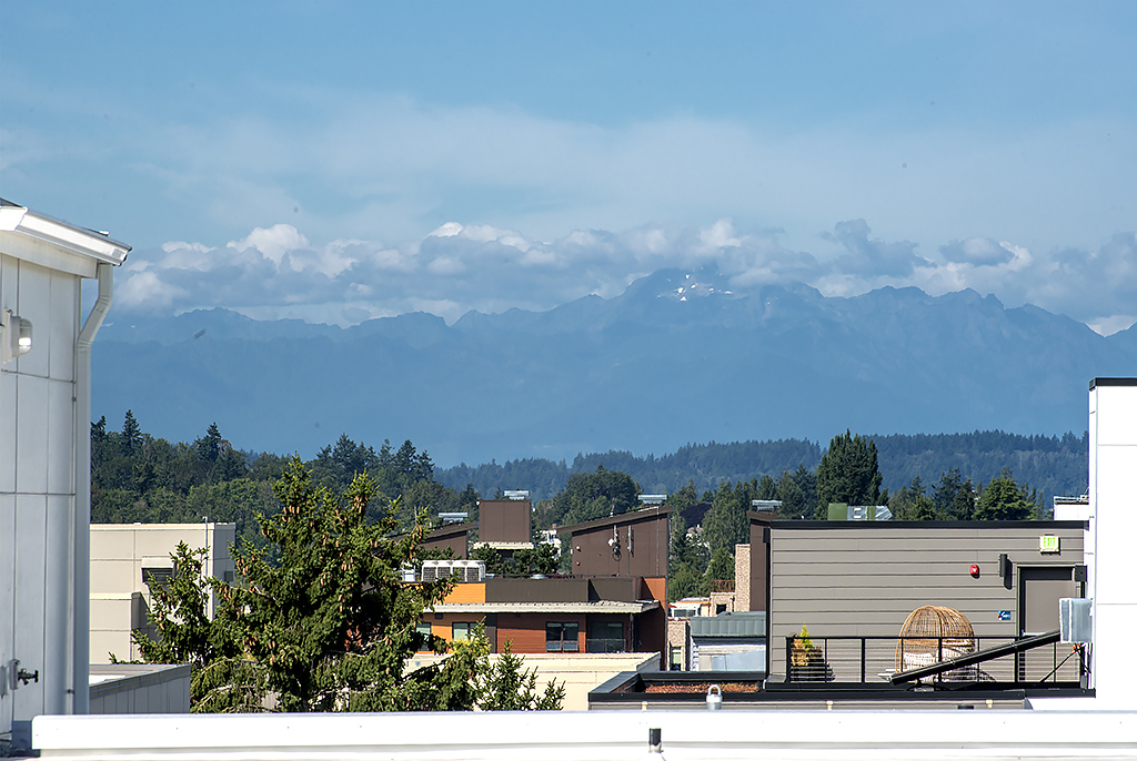 roof top view 2.jpg