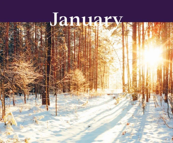January Newsletter with Chris Doucet
