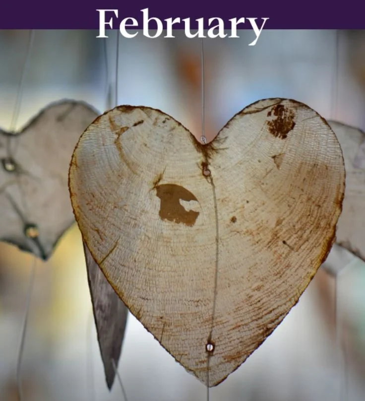 Chris Doucet February Newsletter