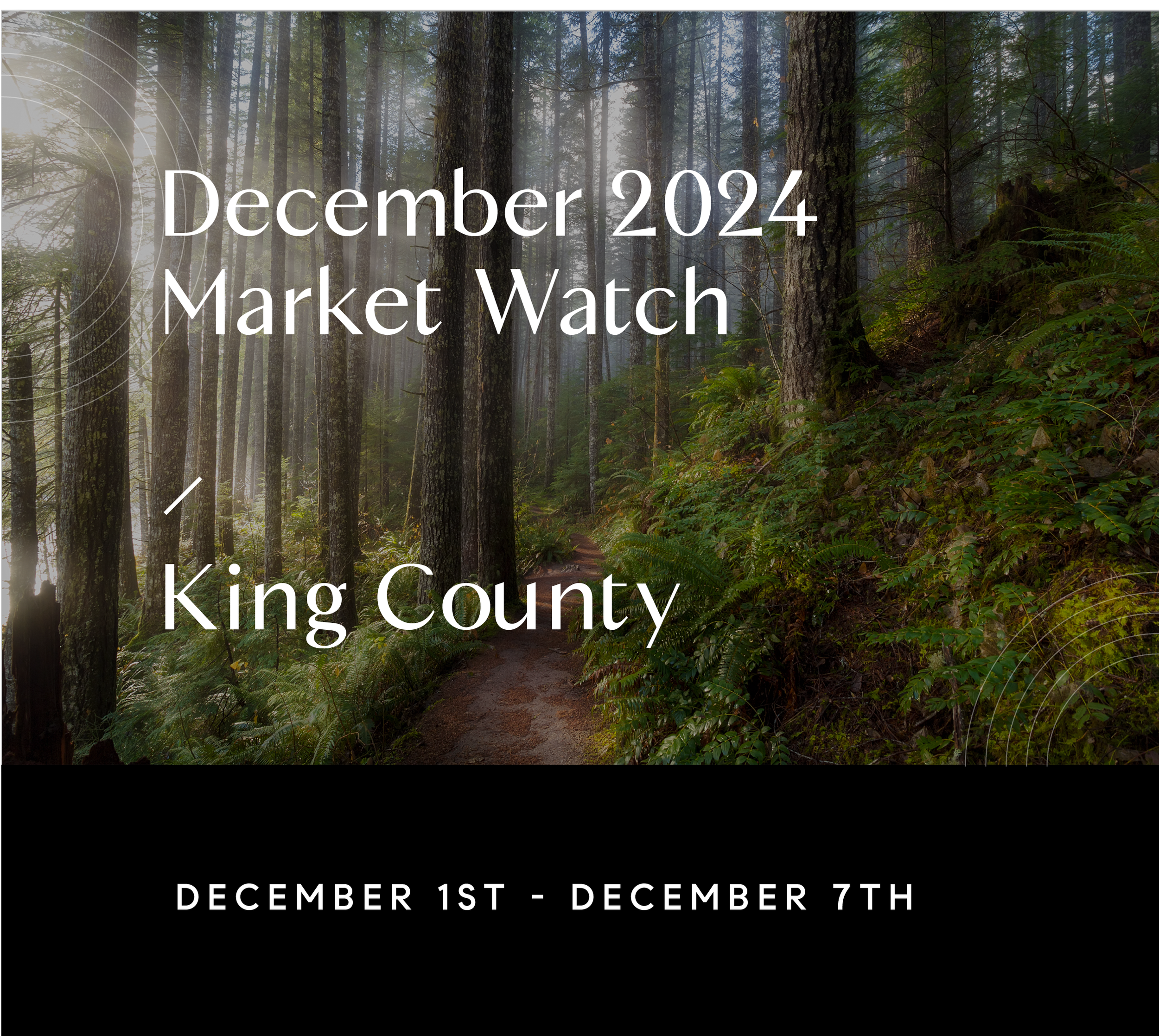 December 11th Weekly King County Market Watch NW | Chris Doucet