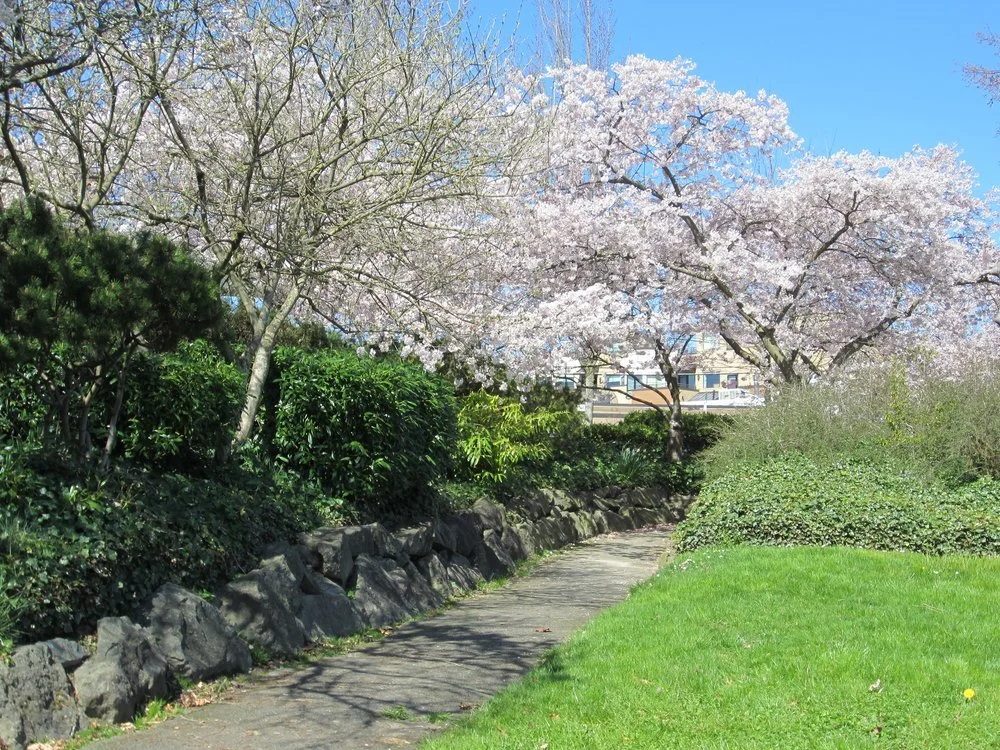 Madison Park
