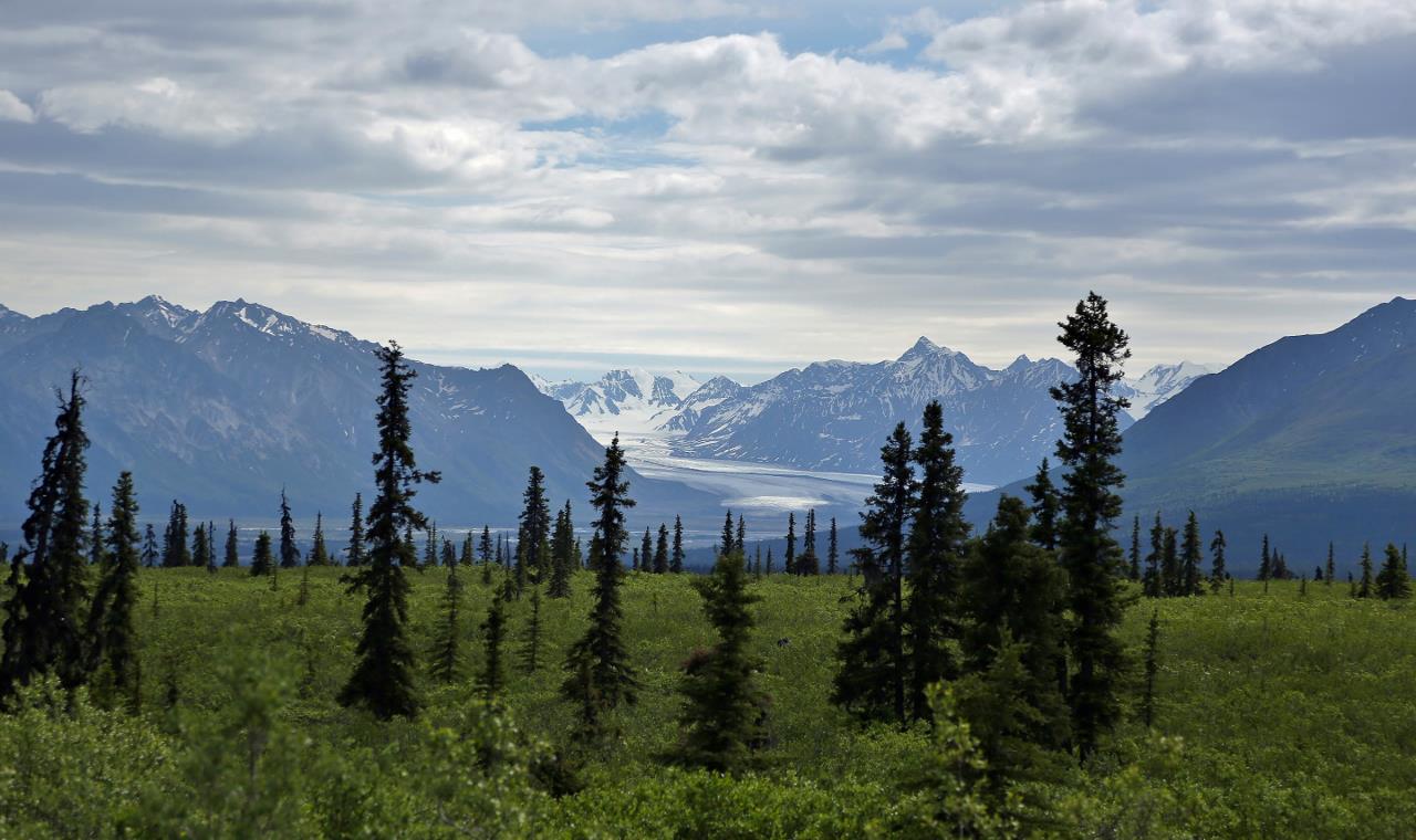 Alaska03.jpg