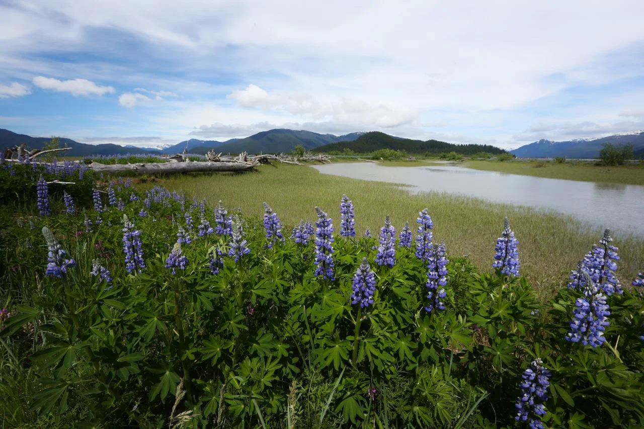 Alaska07.jpg