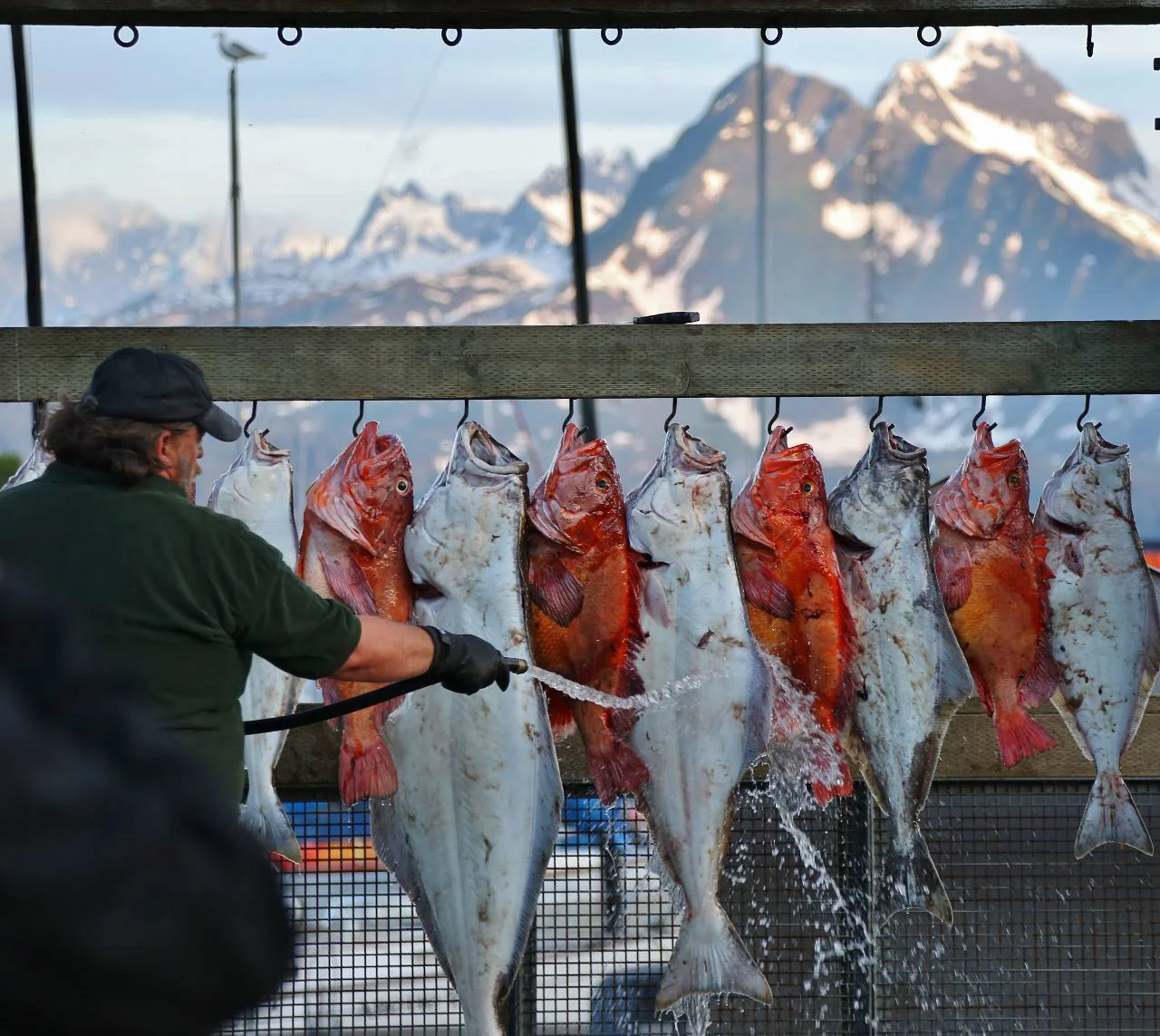  Valdez, Alaska 