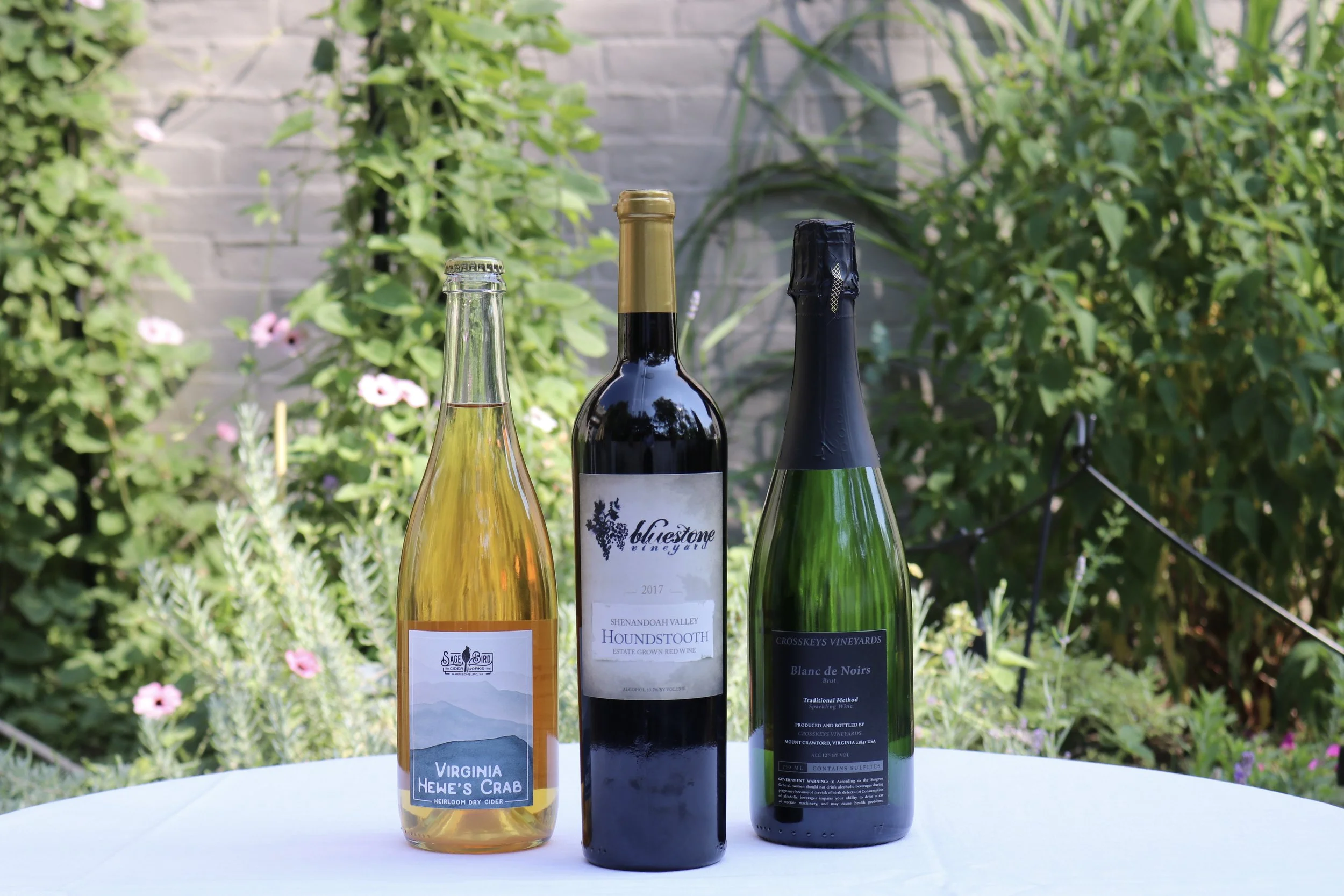 Taste of Harrisonburg Happy Hour