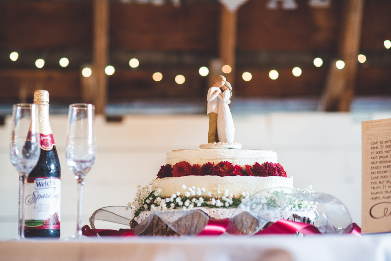 Phelps-wedding-virginia-roanoke-rockwood-manor-95.jpg