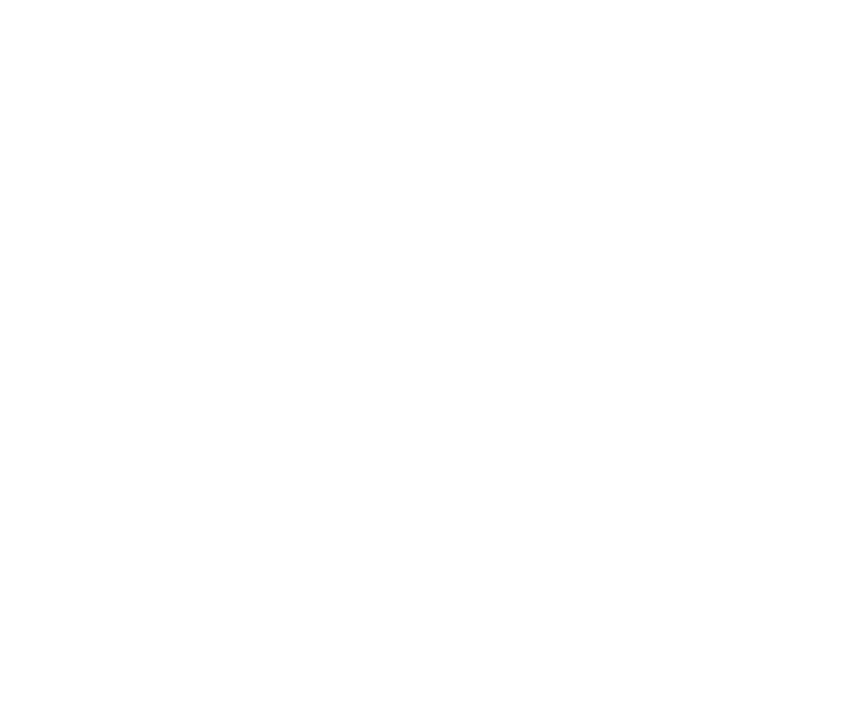 The Frame Shop