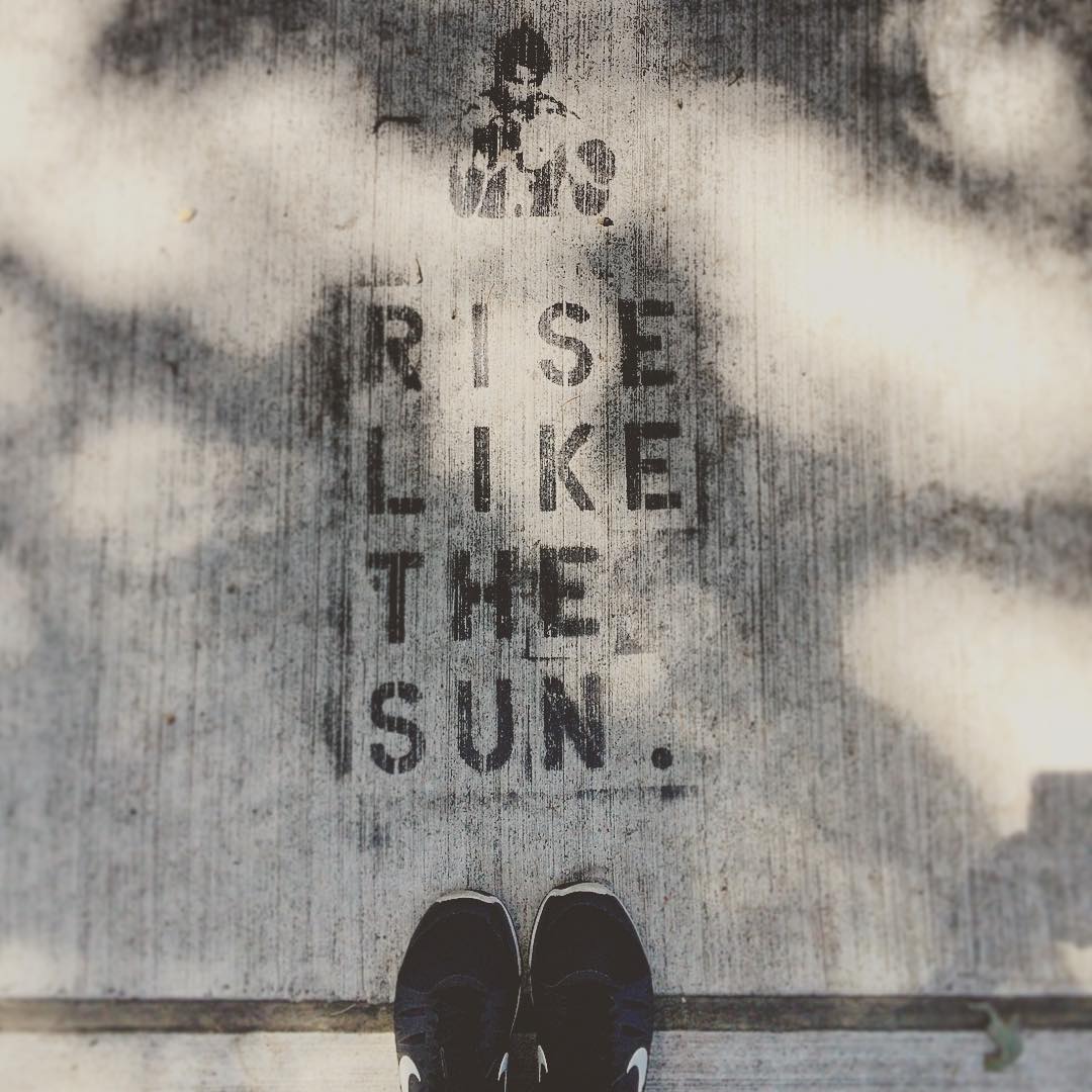 Sometimes the universe is really good at sending me messages.