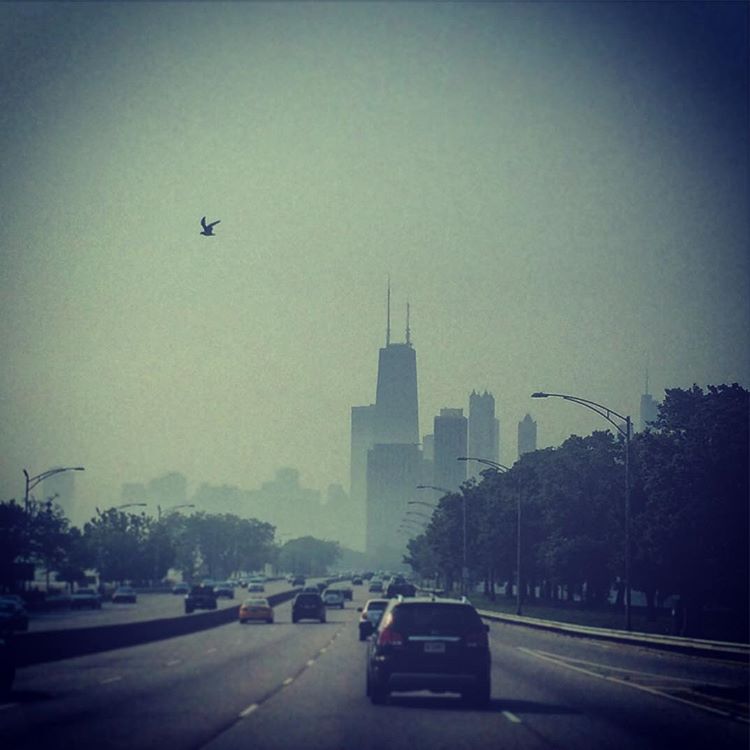 Lake Shore Drive
