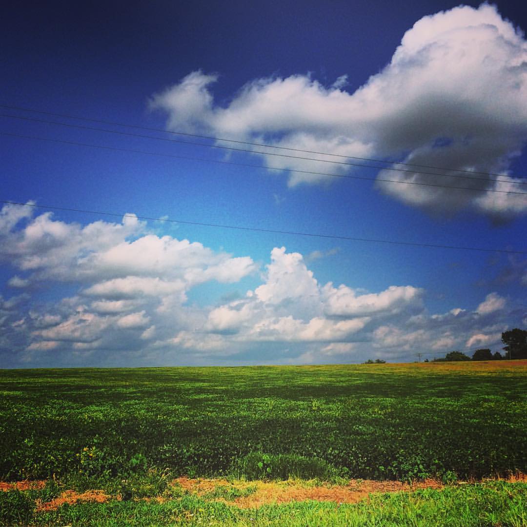 A moment of zen in rural Illinois.