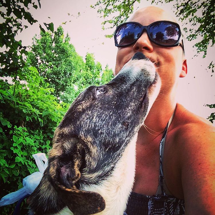 Taking Mick, a rescue dog who is up for adoption, out for a walk.